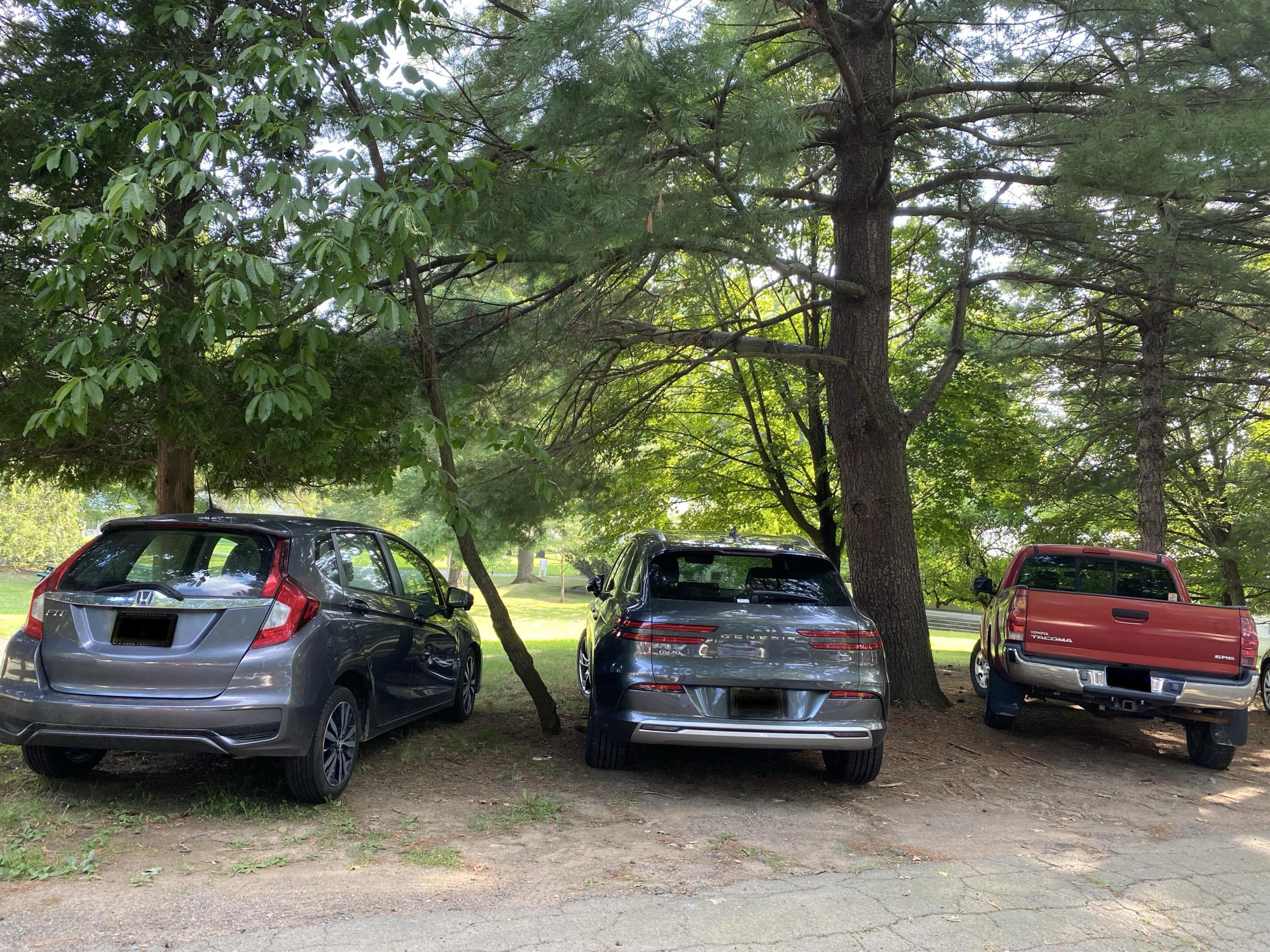 creative parking When campus is so full that parking gets creative,
even cars become tree-huggers ;)